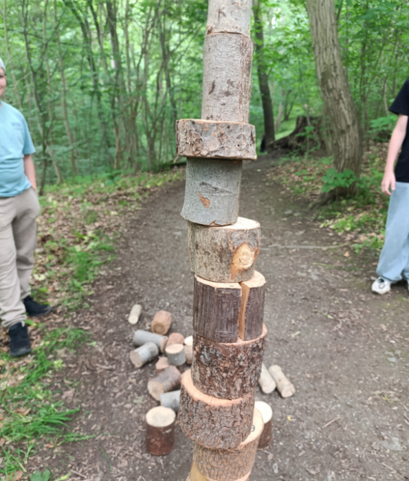 Waldjugendspiele